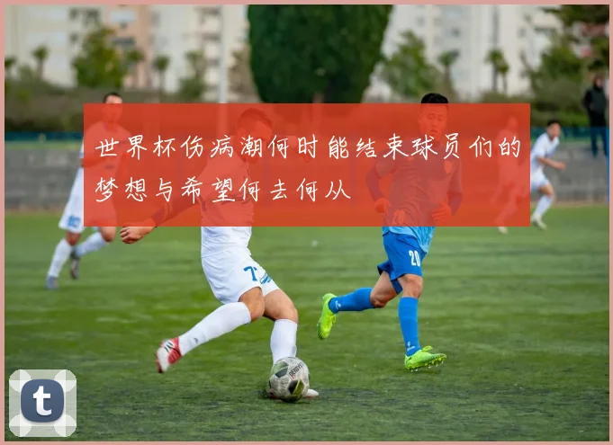 世界杯伤病潮何时能结束球员们的梦想与希望何去何从