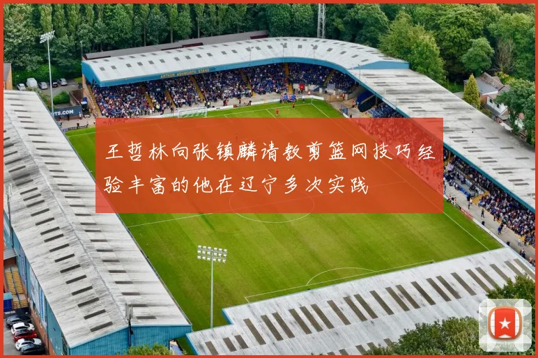 王哲林向张镇麟请教剪篮网技巧经验丰富的他在辽宁多次实践